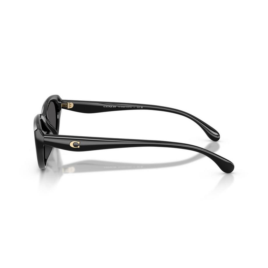 COACH COACH Sonnenbrille Cat Eye Sonnenbrille  