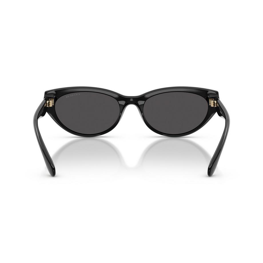 COACH COACH Sonnenbrille Cat Eye Sonnenbrille  