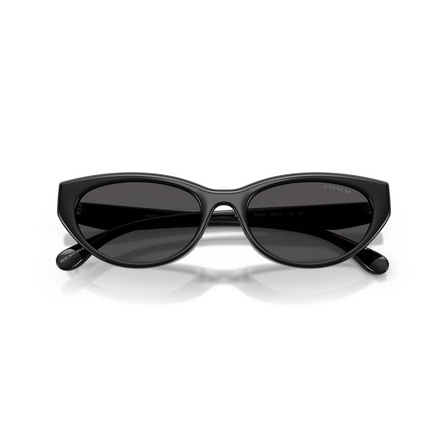 COACH COACH Sonnenbrille Cat Eye Sonnenbrille  