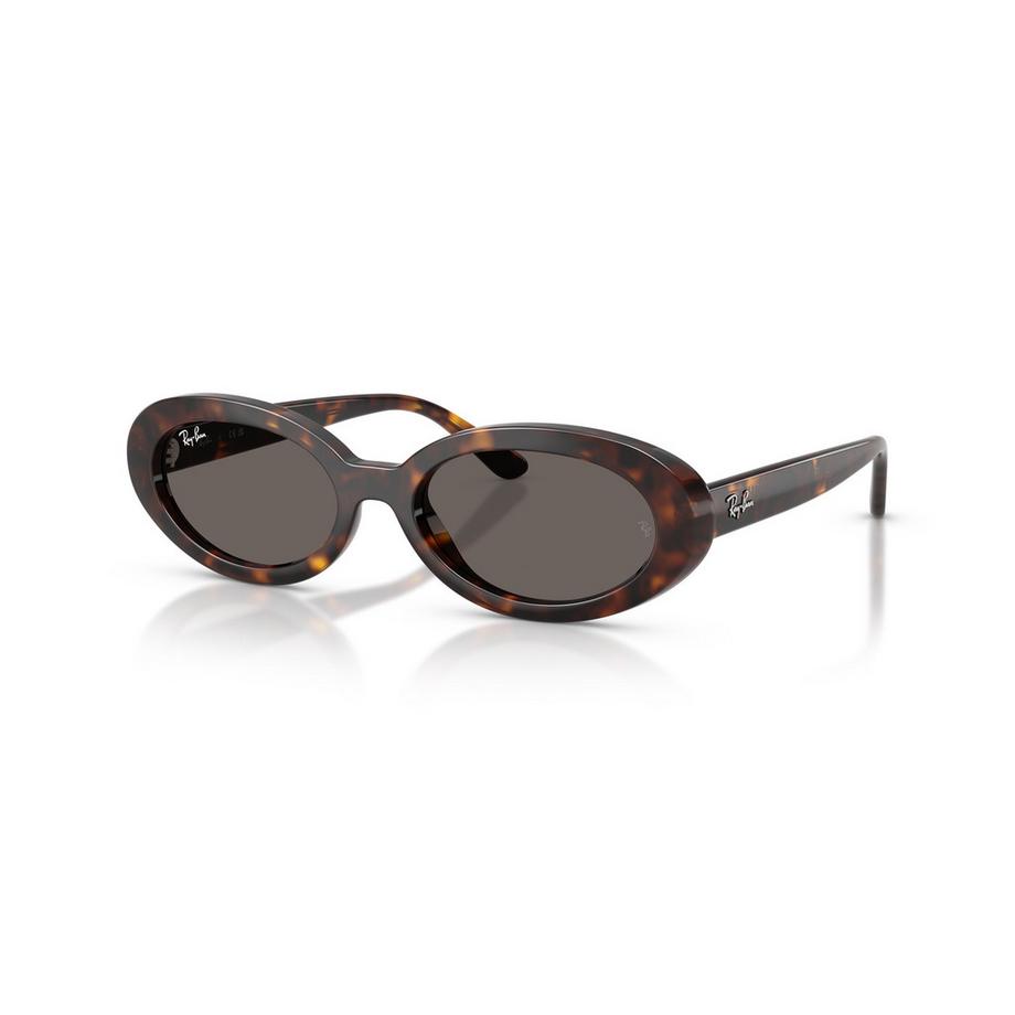 Ray-Ban Ovale Sonnenbrille  