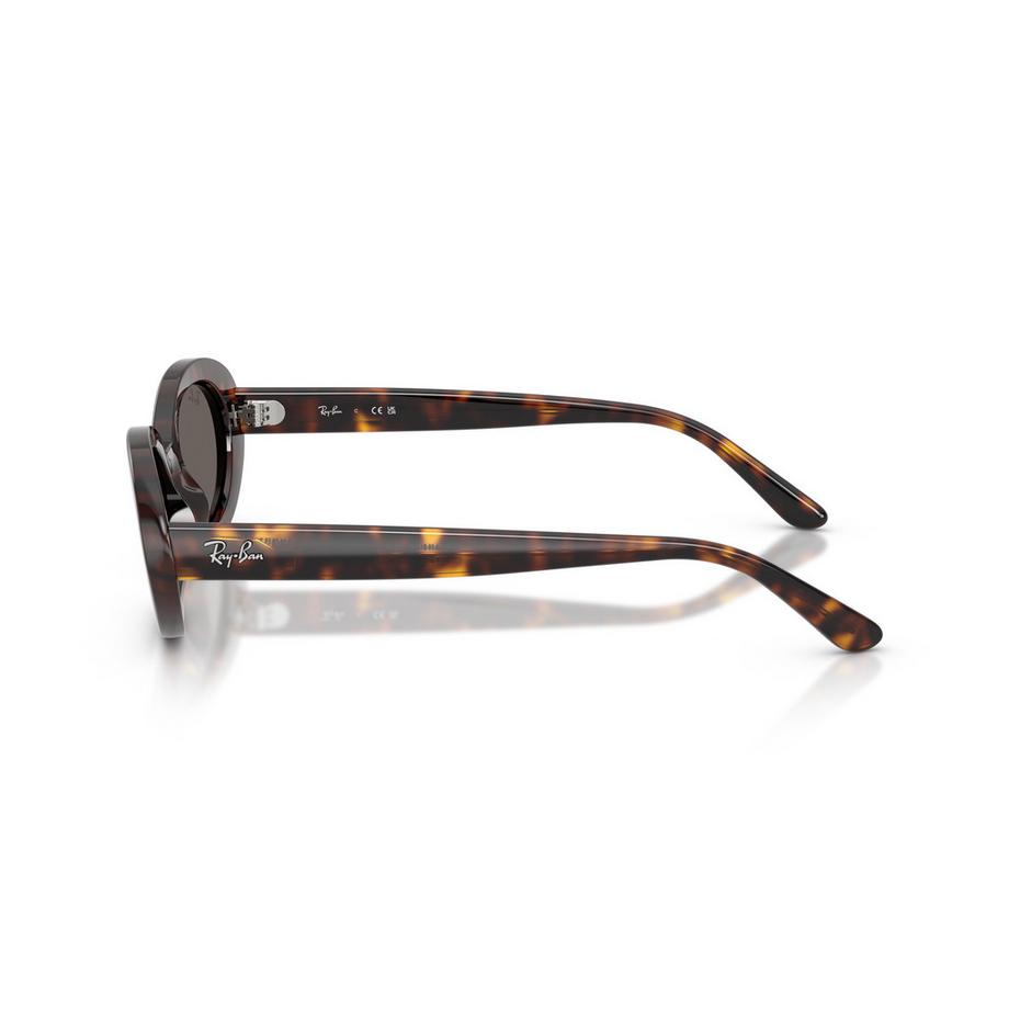 Ray-Ban Ovale Sonnenbrille  