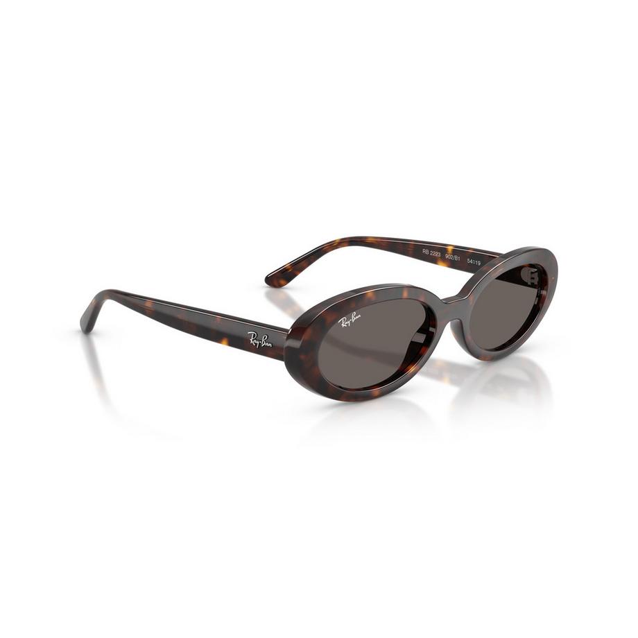 Ray-Ban Ovale Sonnenbrille  