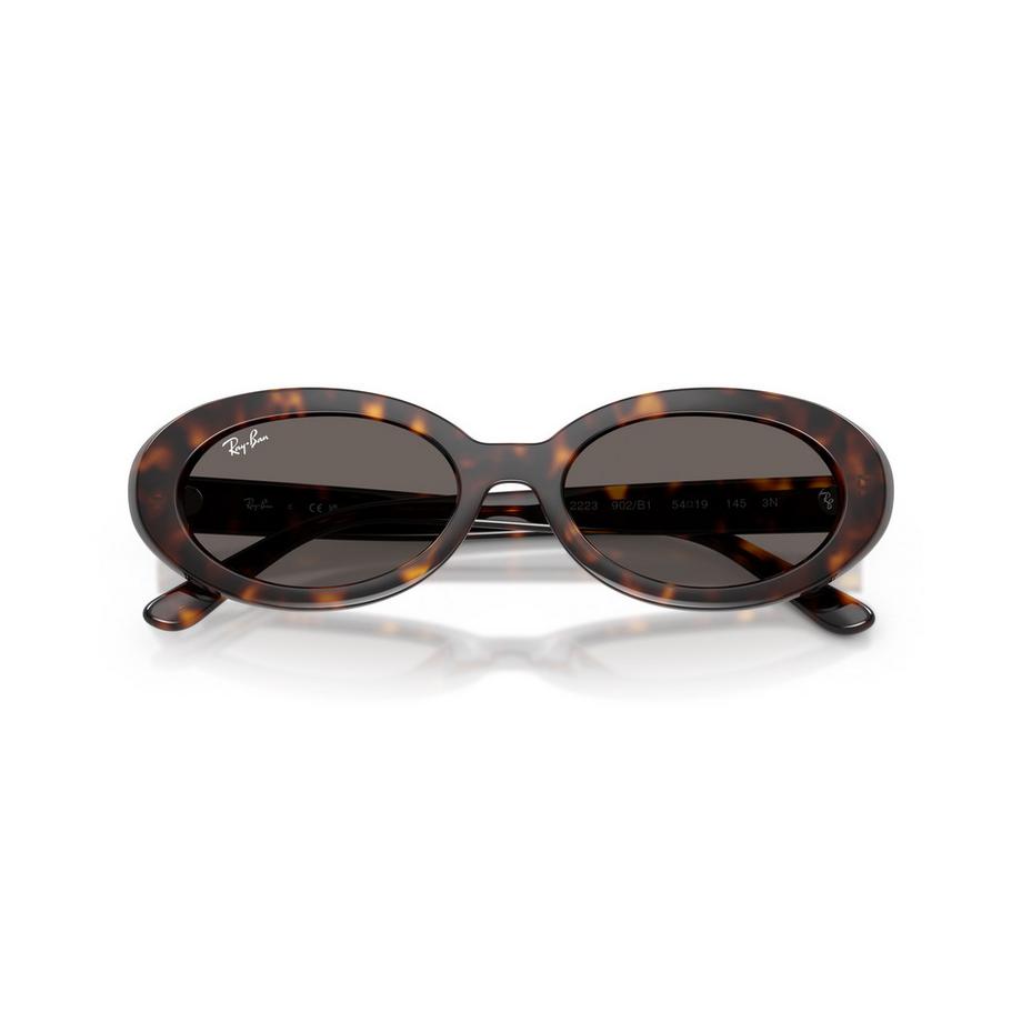 Ray-Ban Ovale Sonnenbrille  