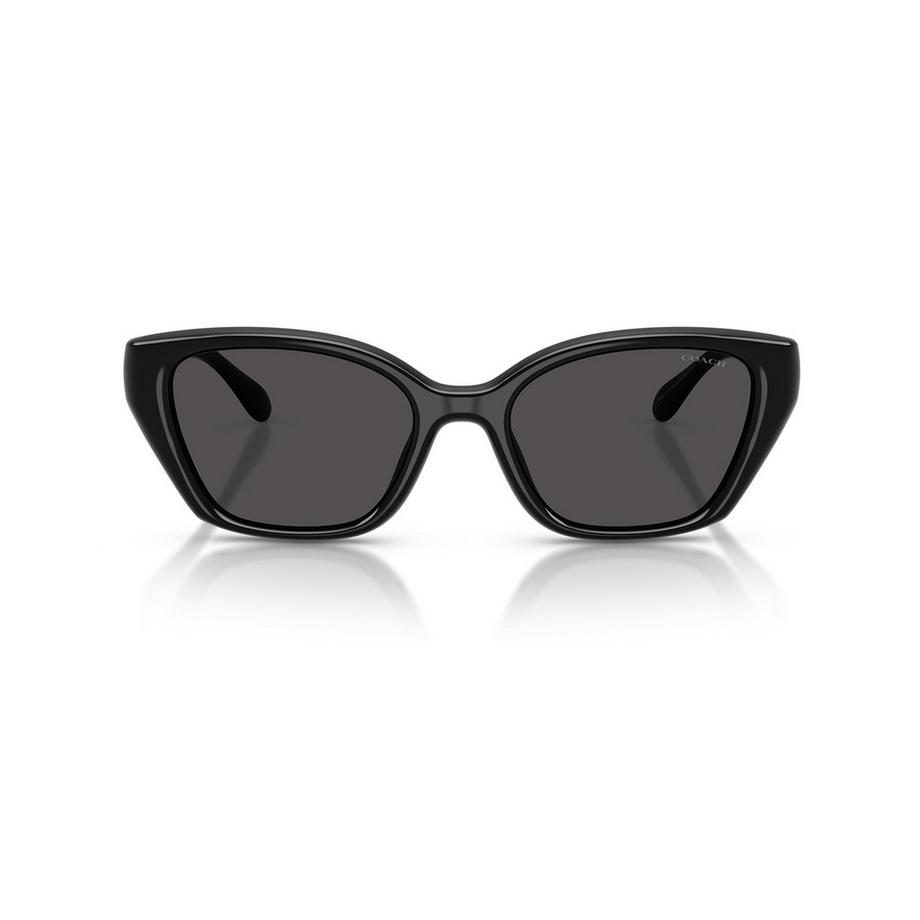 Lunettes de soleil