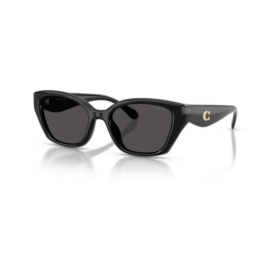COACH COACH Sonnenbrille Lunettes de soleil Cat Eye  