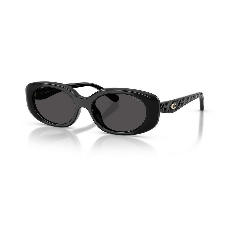 COACH COACH Sonnenbrille Sonnenbrille 