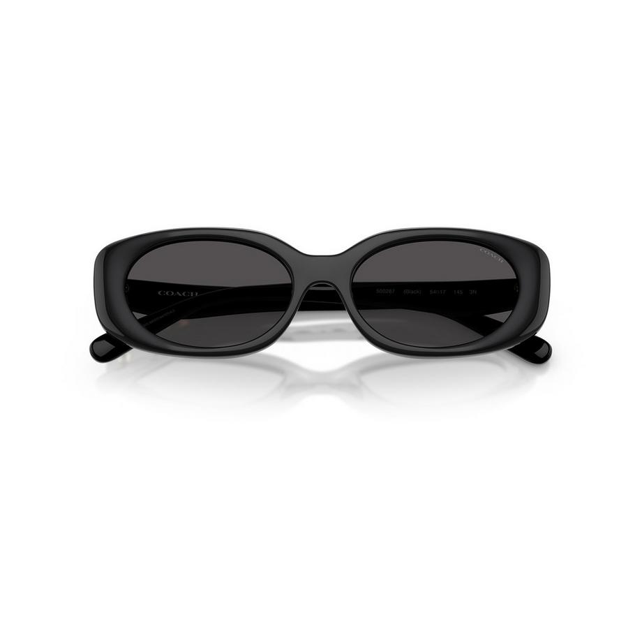 COACH COACH Sonnenbrille Sonnenbrille 
