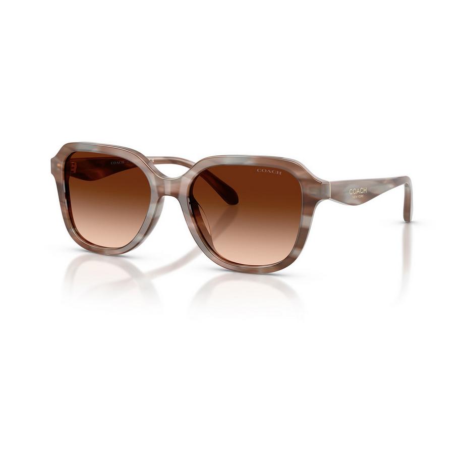 COACH COACH Sonnenbrille Sonnenbrille 