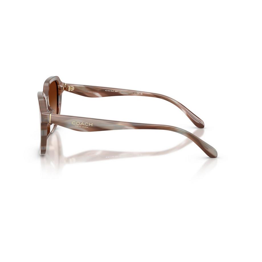 COACH COACH Sonnenbrille Sonnenbrille 