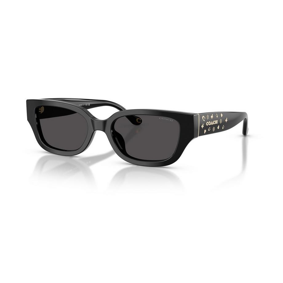COACH COACH Sonnenbrille Sonnenbrille 