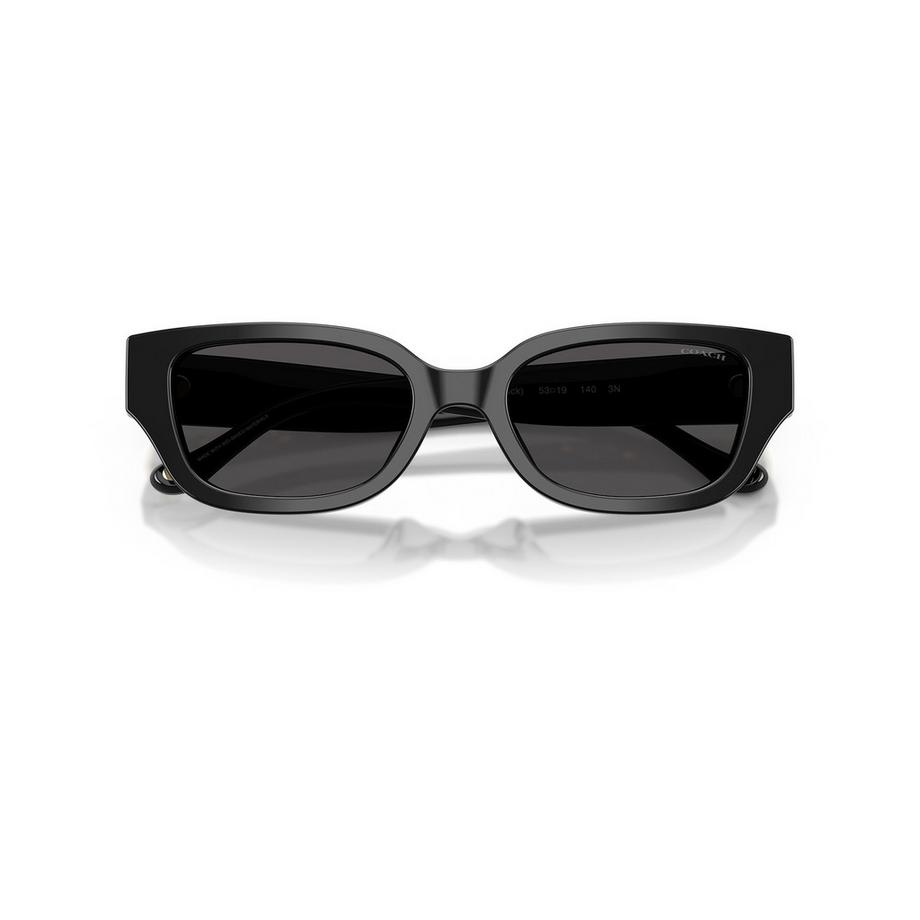 COACH COACH Sonnenbrille Sonnenbrille 