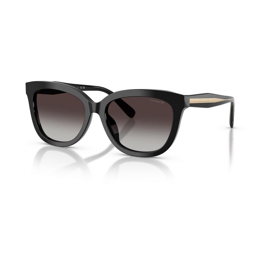 COACH COACH Sonnenbrille Sonnenbrille 