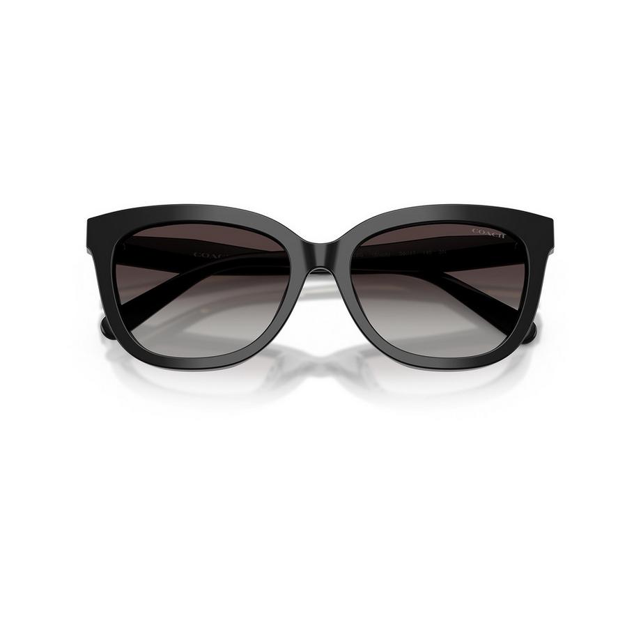 COACH COACH Sonnenbrille Sonnenbrille 