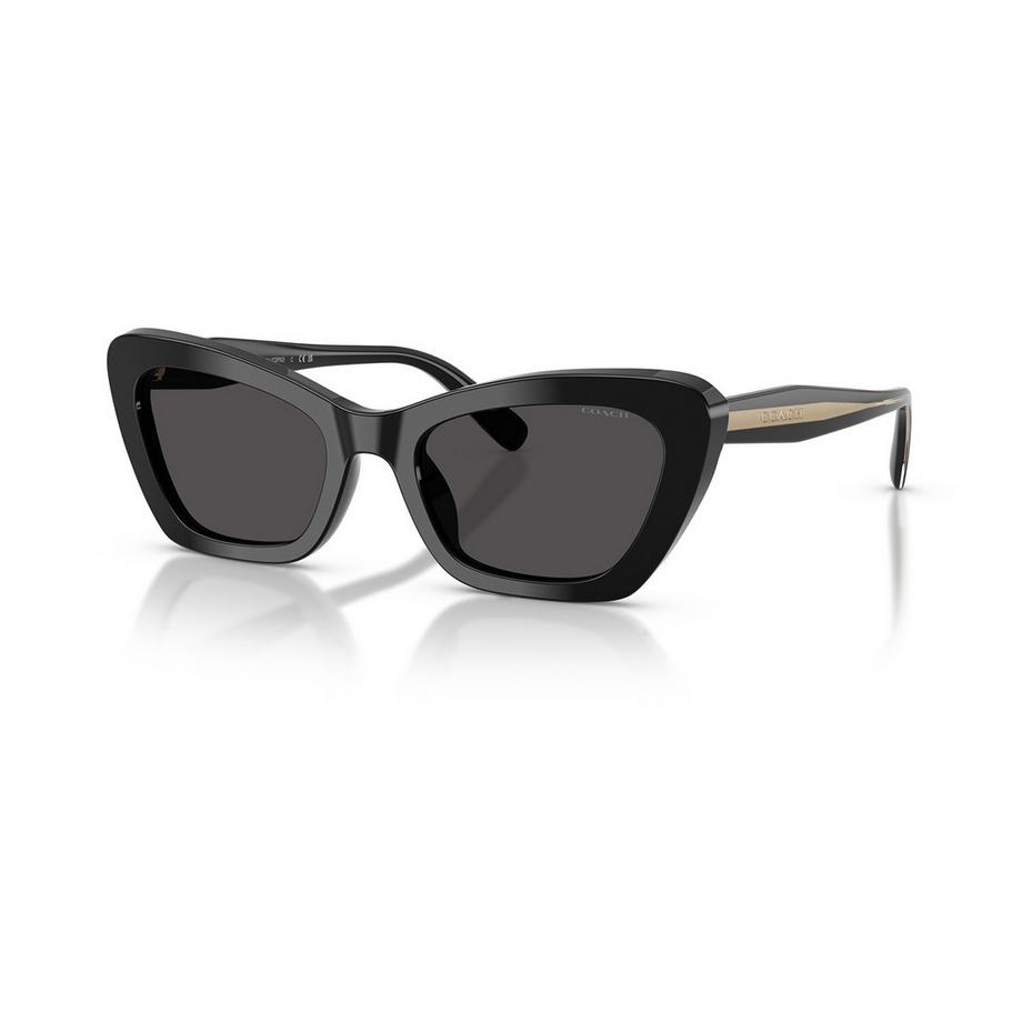 COACH COACH Sonnenbrille Sonnenbrille 