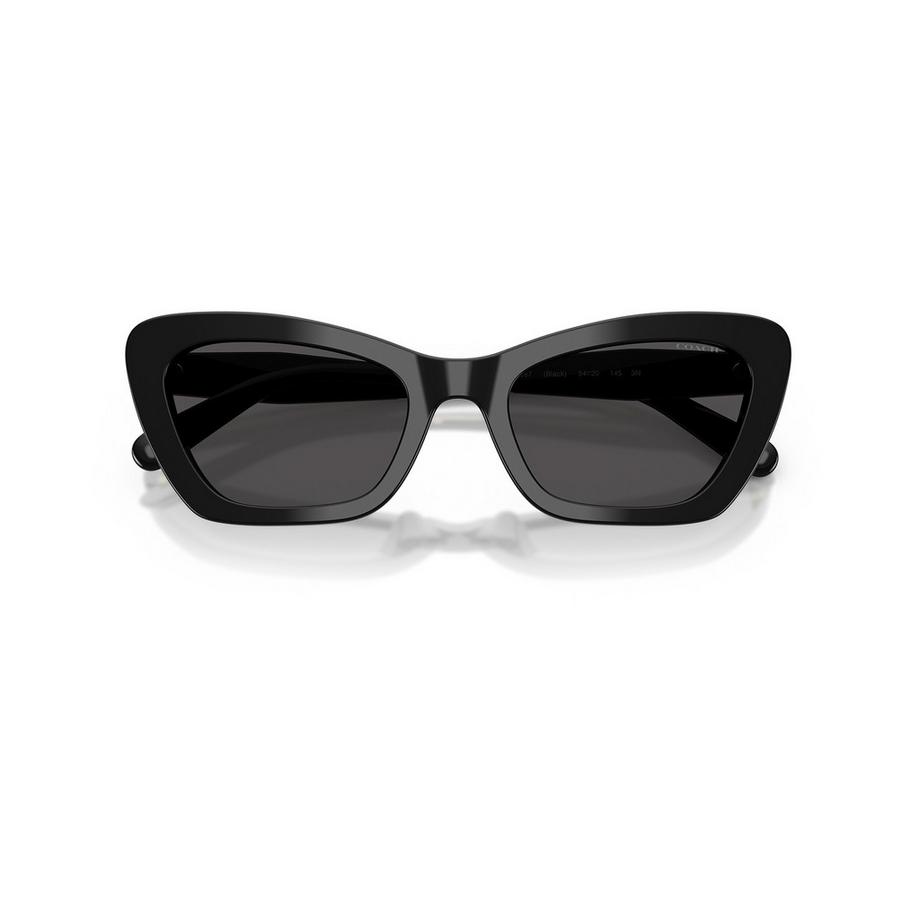COACH COACH Sonnenbrille Sonnenbrille 
