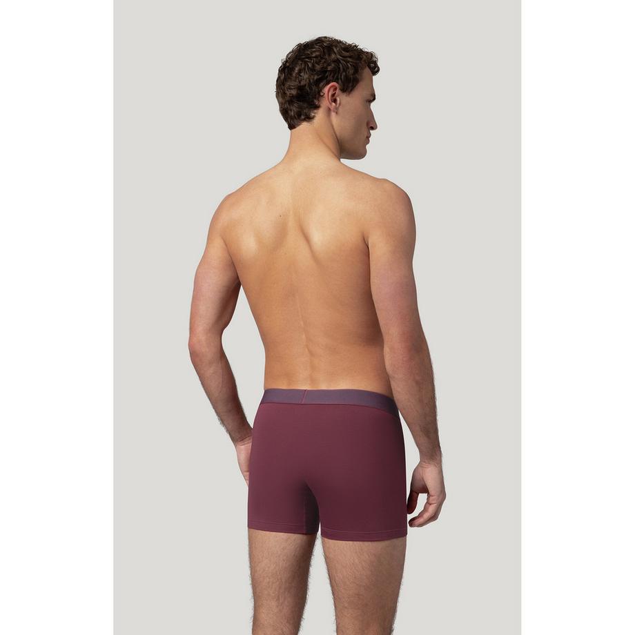 Levi's® Boxer Twill WB Lot de 2  
