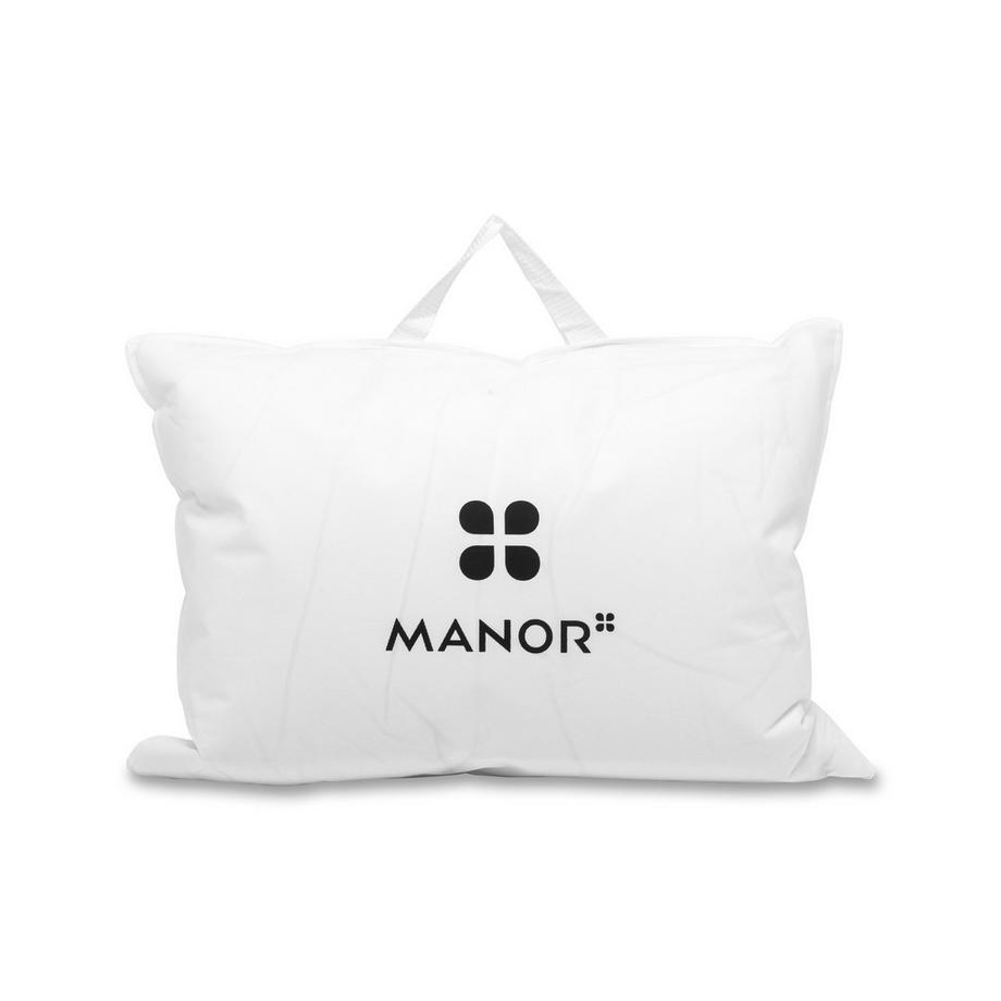 Manor   