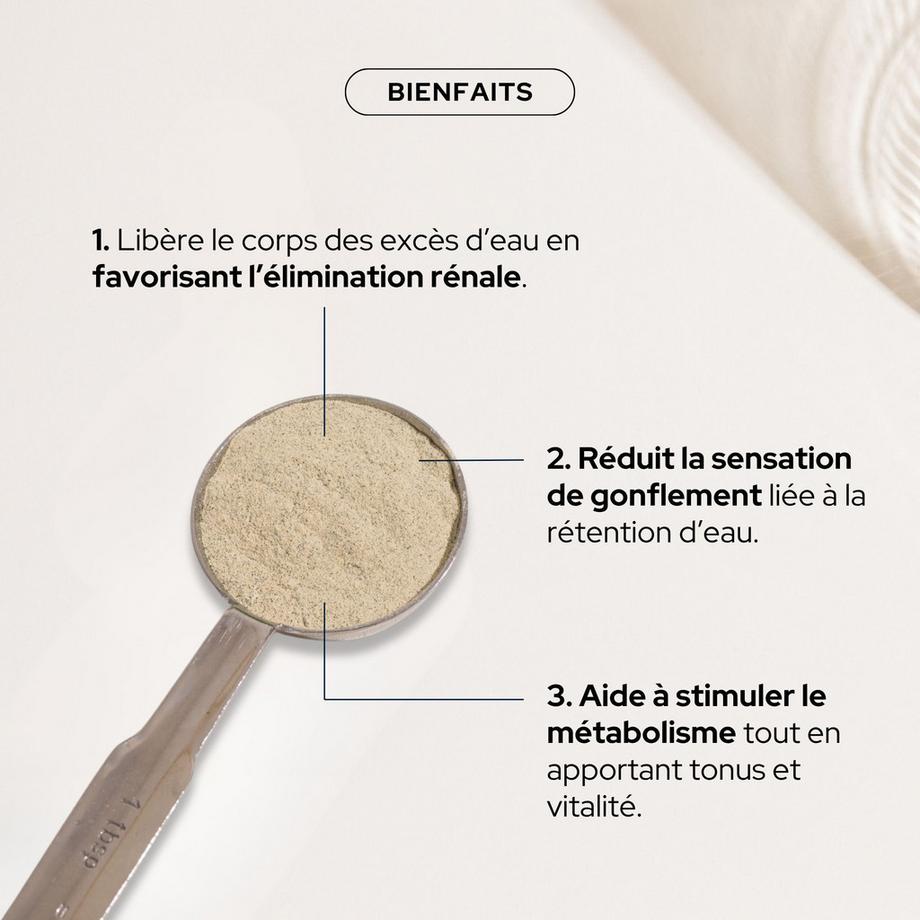 Epycure  Poudre Drainante - Goût Pomme Kiwi 