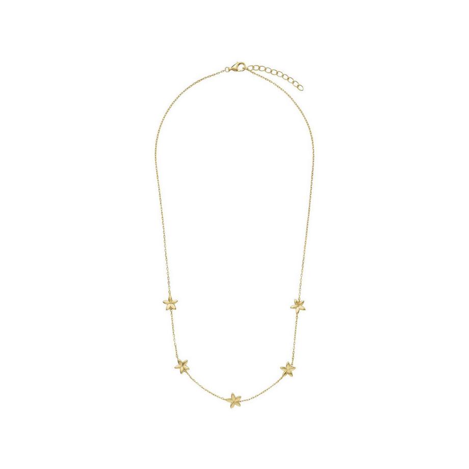 amor  Collier 