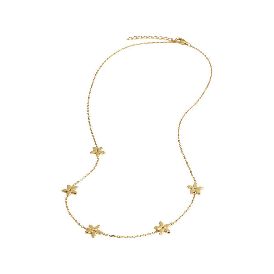 amor  Collier 