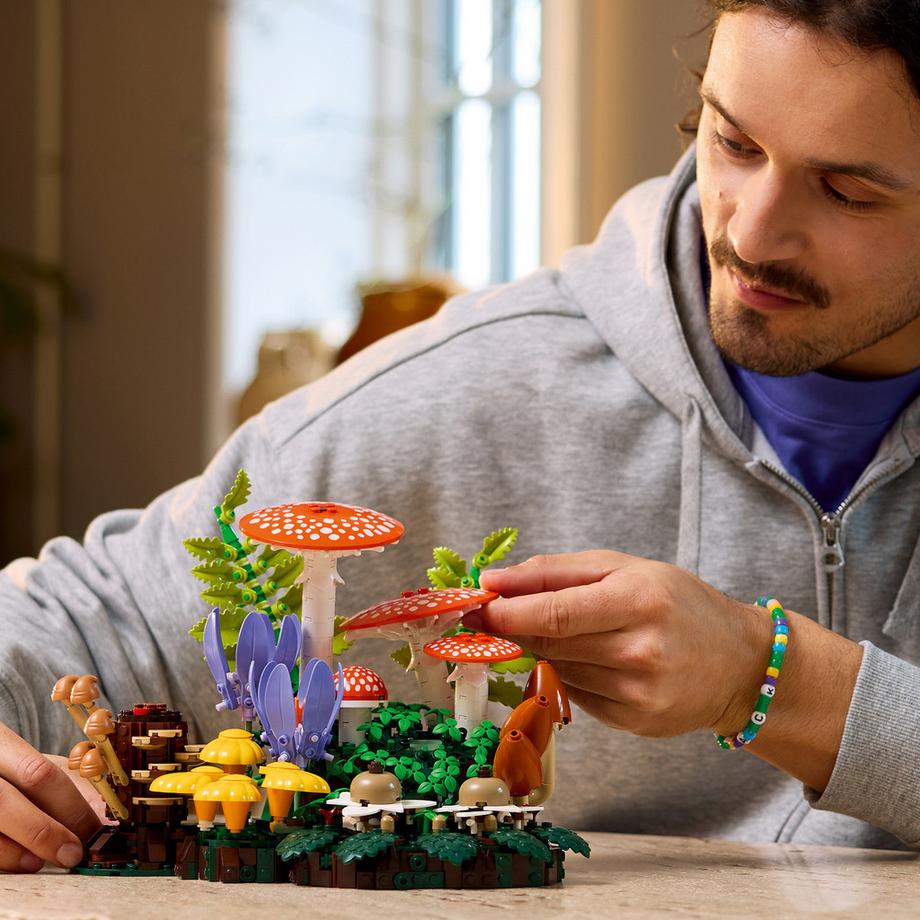 LEGO®  11505 Les champignons des bois 