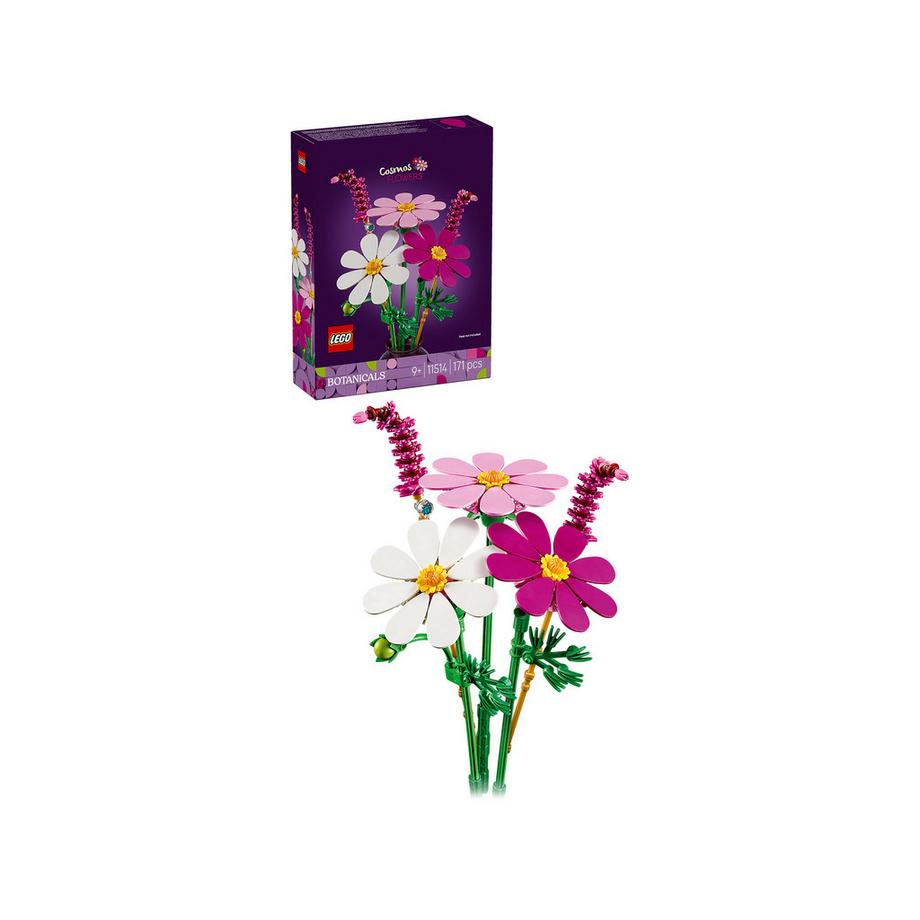 11514 Fiori di Cosmos