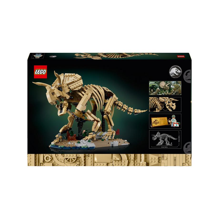 LEGO®  77985 Les fossiles de dinosaure : le tricératops 