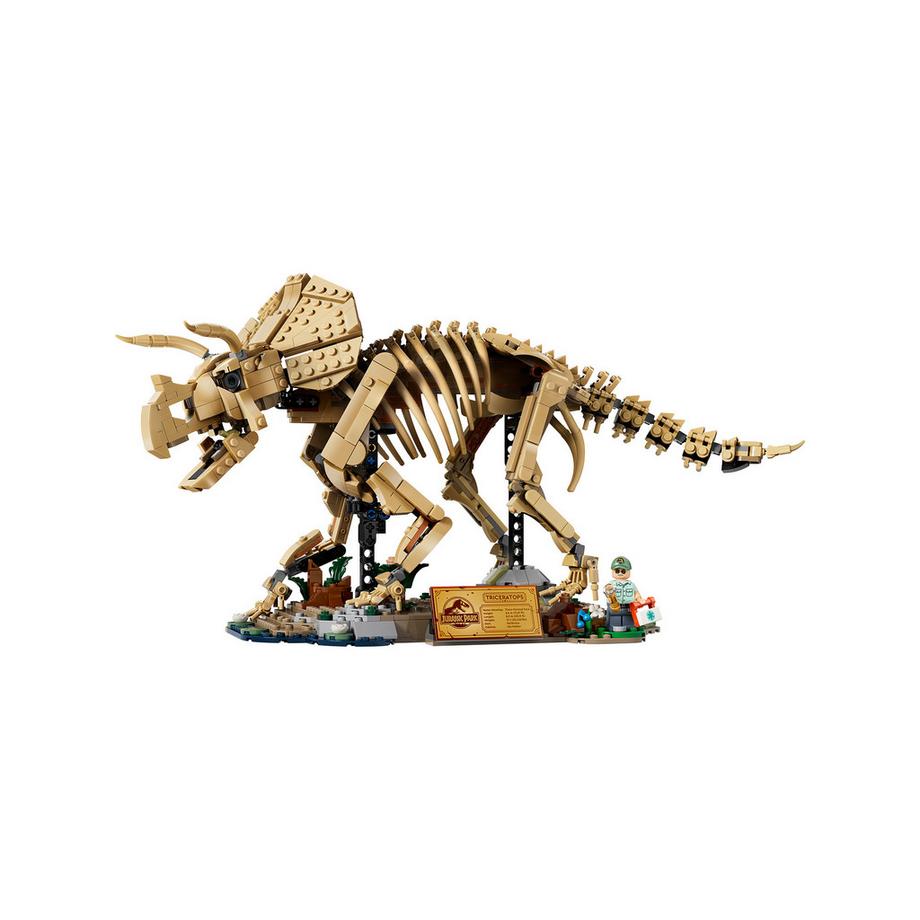 LEGO®  77985 Les fossiles de dinosaure : le tricératops 