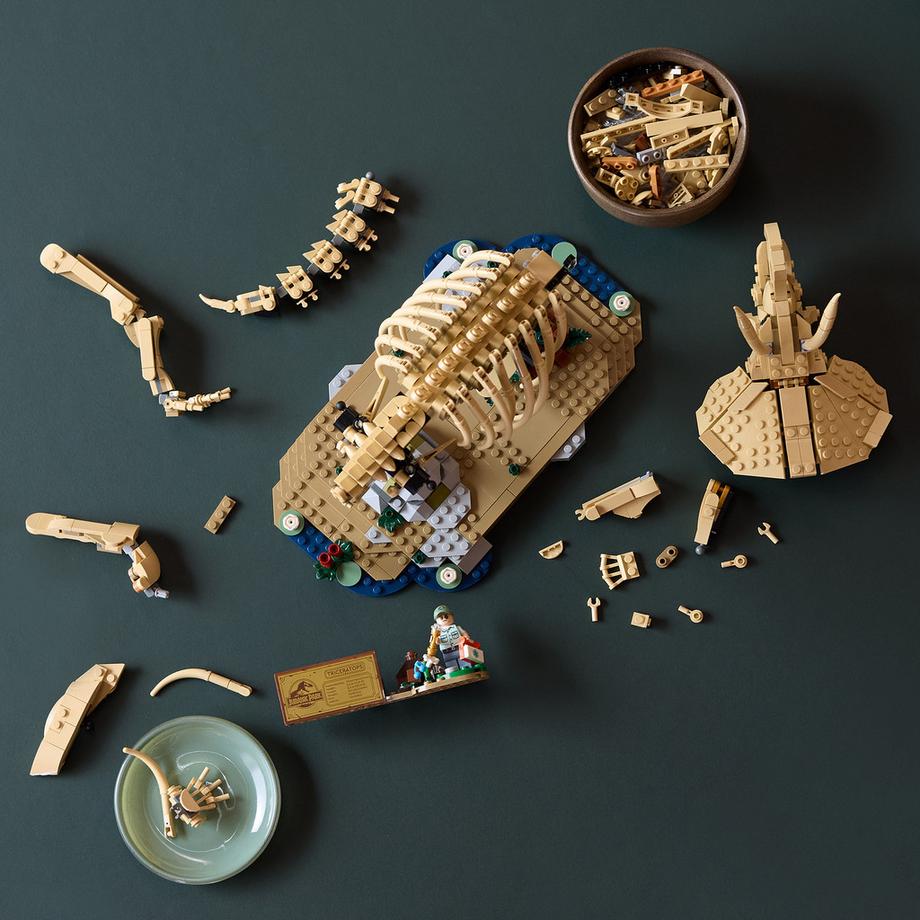 LEGO®  77985 Les fossiles de dinosaure : le tricératops 