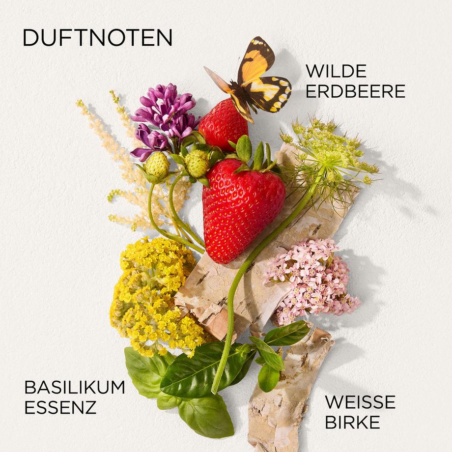 Elizabeth Arden  Green Tea Strawberry Basil Honey Drops Bodylotion 