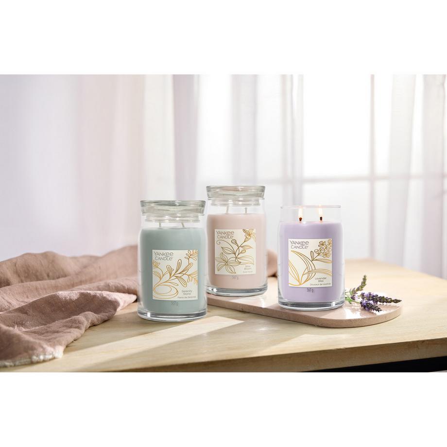 YANKEE CANDLE Bougie parfumée en verre Lavender Bliss 