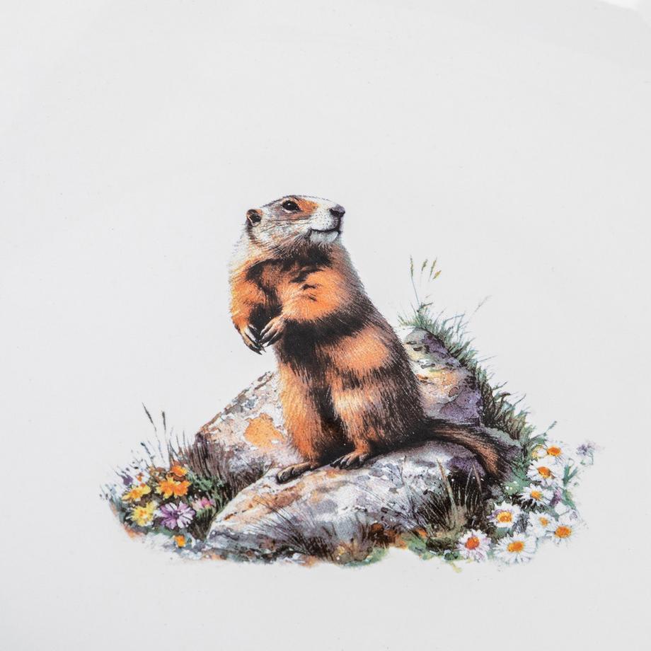 Kadastar Käsefondue-Teller Marmot 