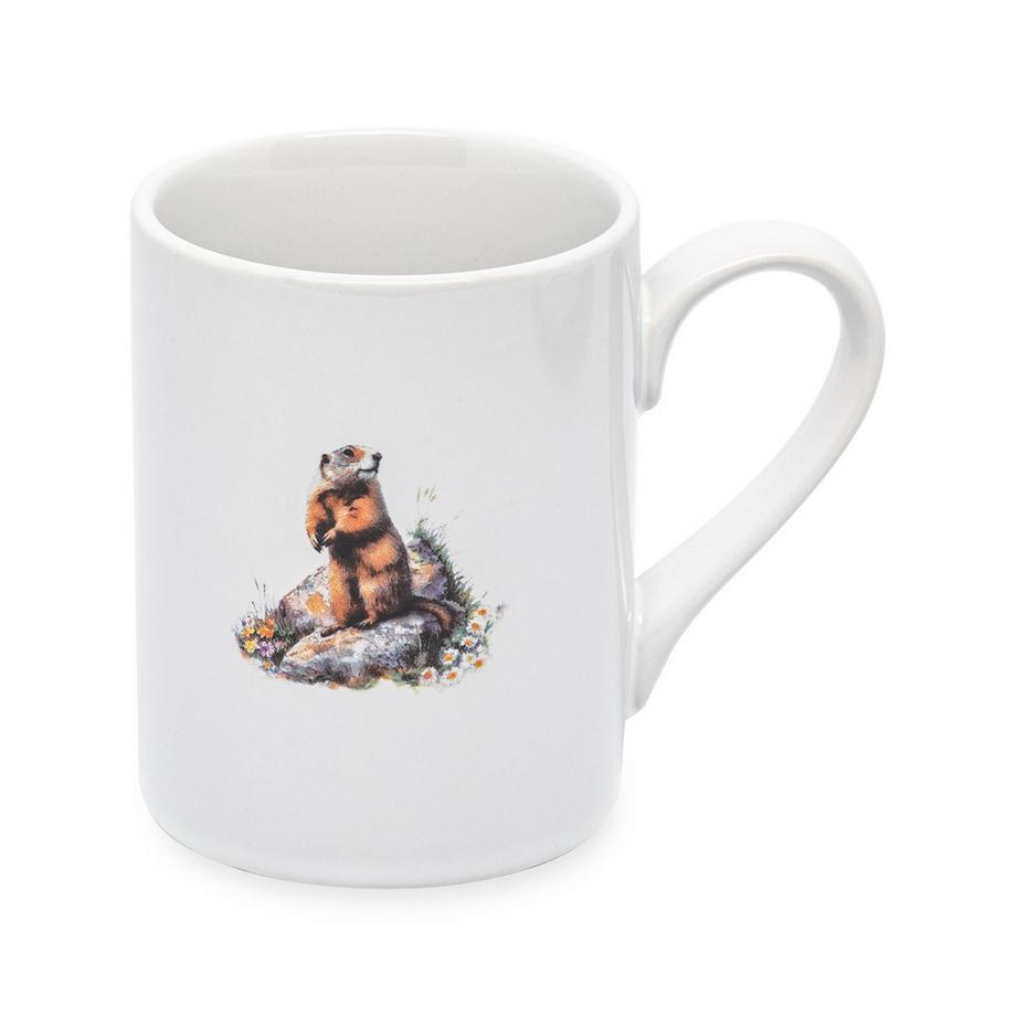 Tasse