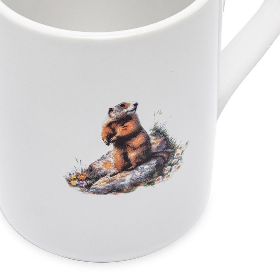 Kadastar Tasse Marmot 