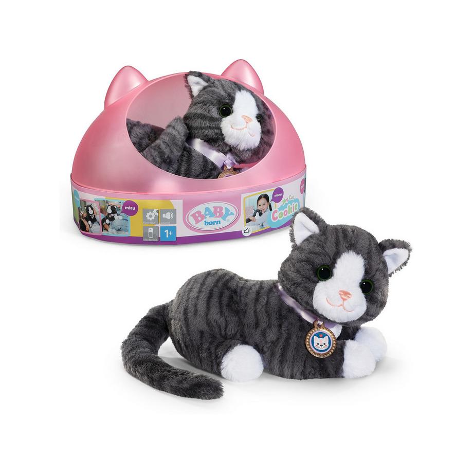 Gatto Cookie con scatola