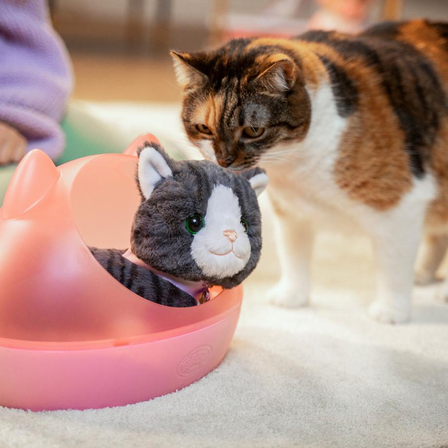 Zapf creation  Gatto Cookie con scatola 
