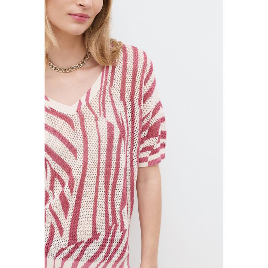 Caroll Pull Manches Courtes  