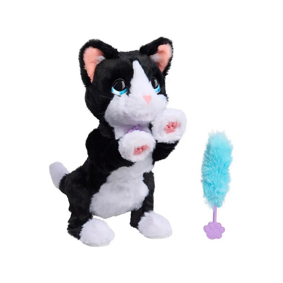 Boots the Biscuit Making Kitty