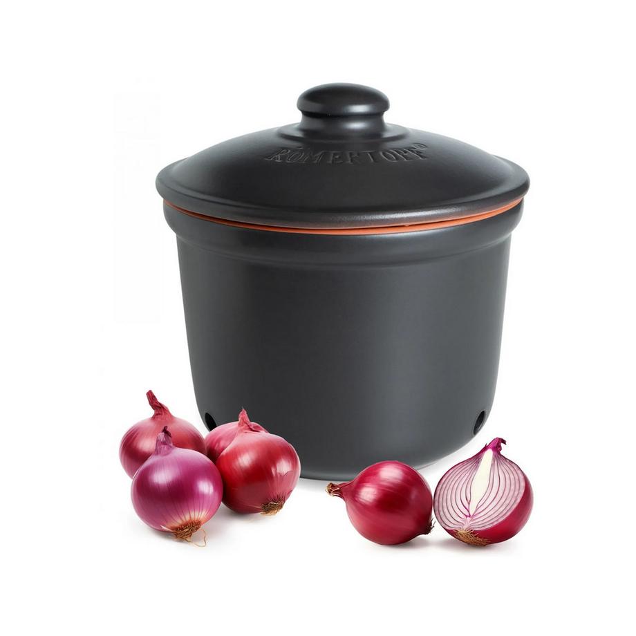 Zwiebeltopf