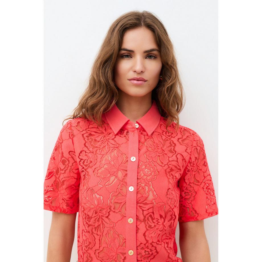 Caroll T-Shirt Manches Courtes en Dentelle  