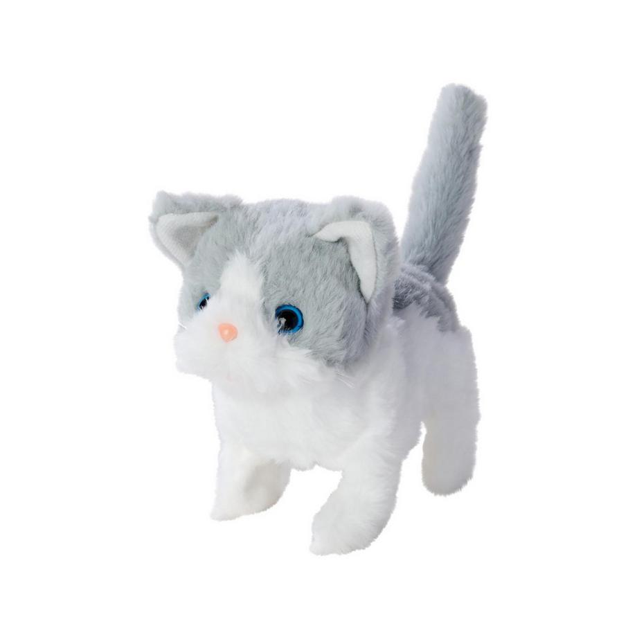 PetZoo Kitty