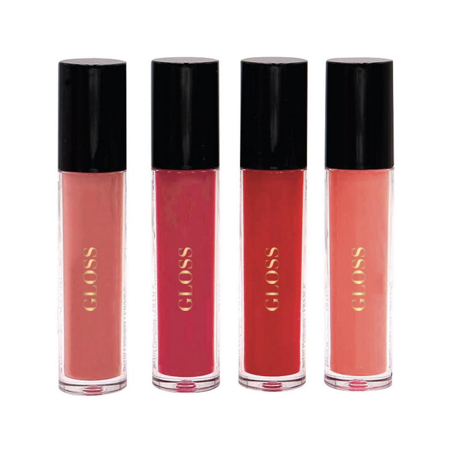 PARISAX  Cosmetic Bag & 4 Lip Glosses 