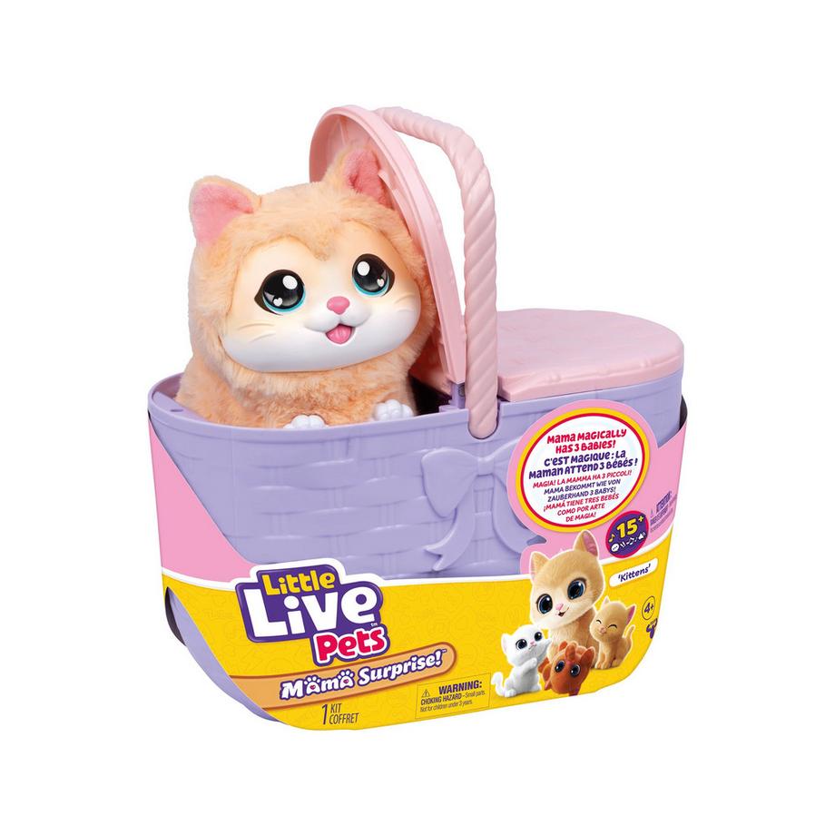 Mama Surprise Katze