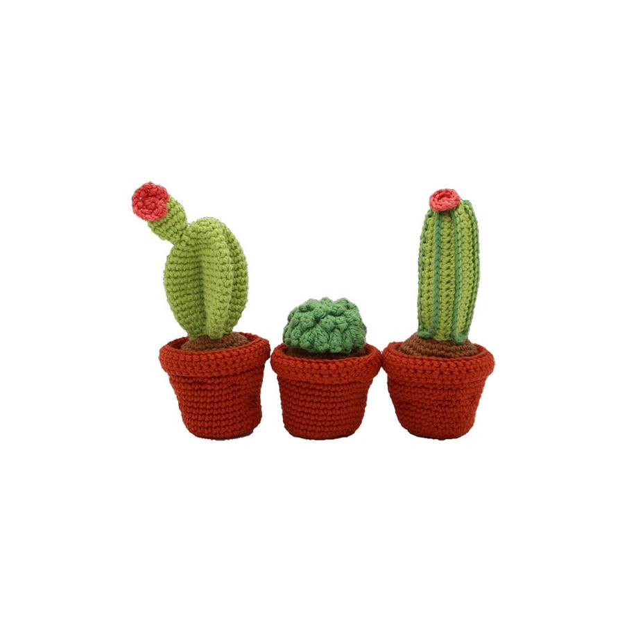 Hardicraft Set de crochet Cactus, 8 cm chacun 