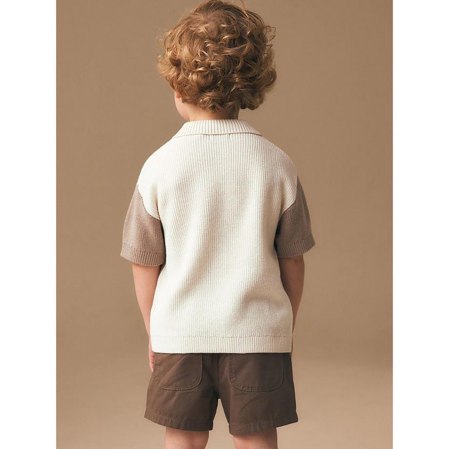 Next  Polo 