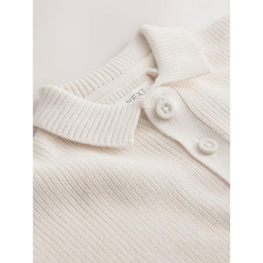 Next  Polo 