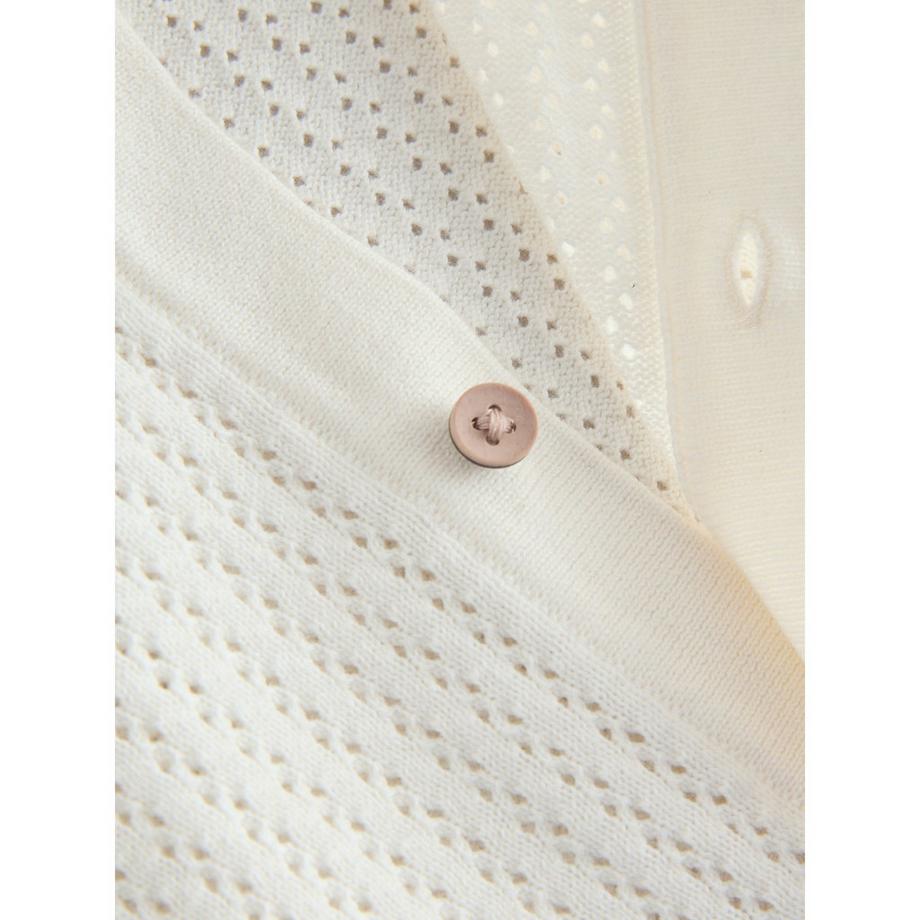 Next  Polo 