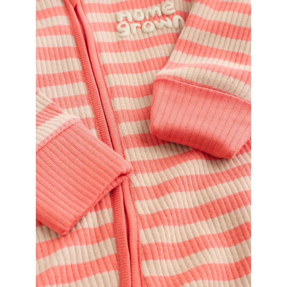 Next  Body, lot de 3 
