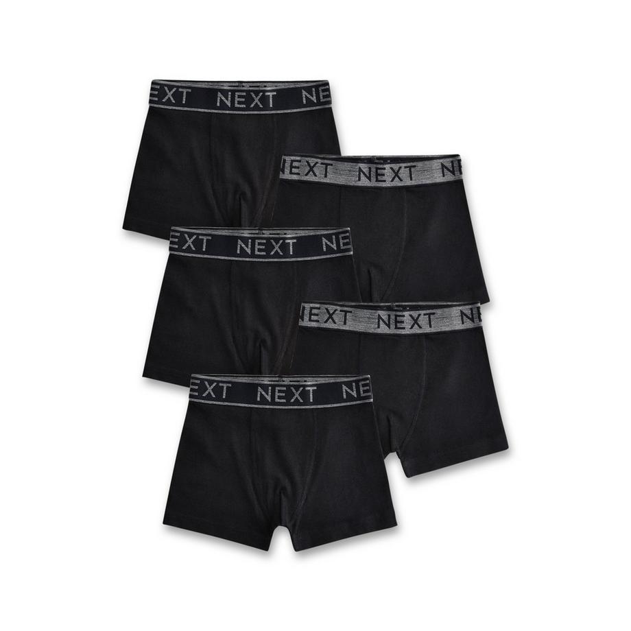 Boxer