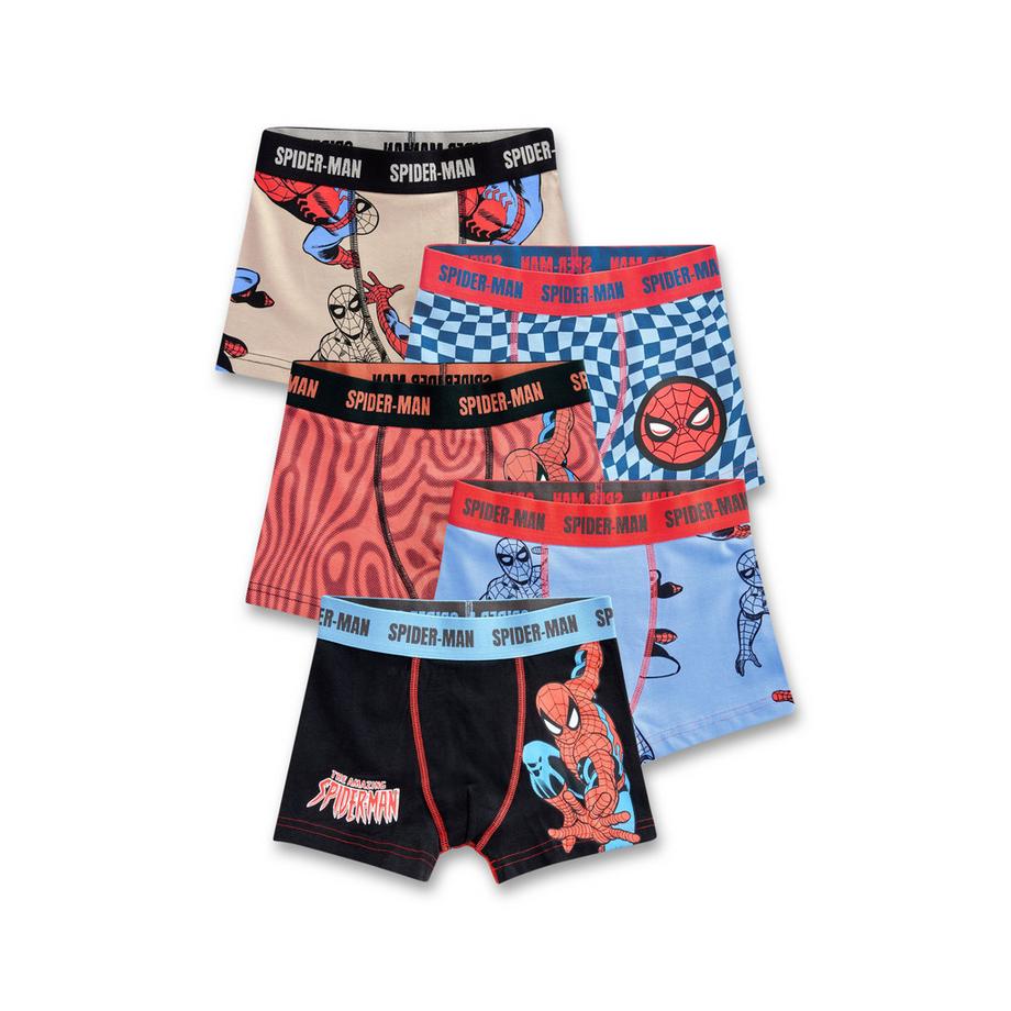 Boxer